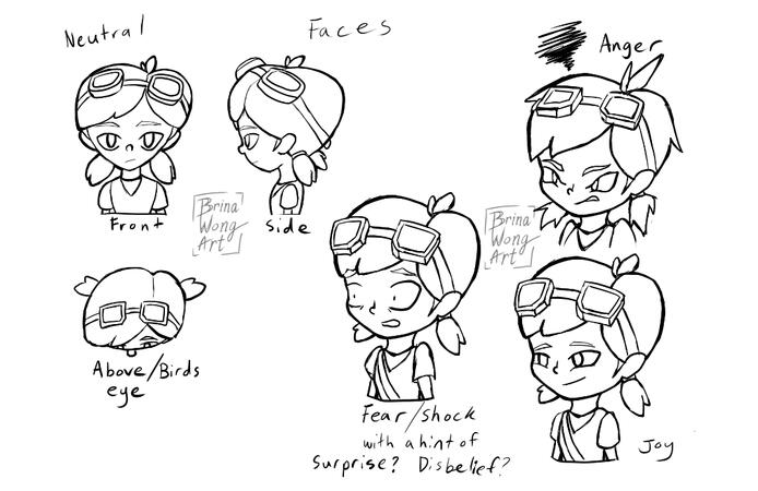 A variation on the types of faces and angles of mina